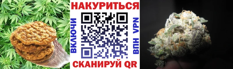 Cannafood конопля  Жердевка 