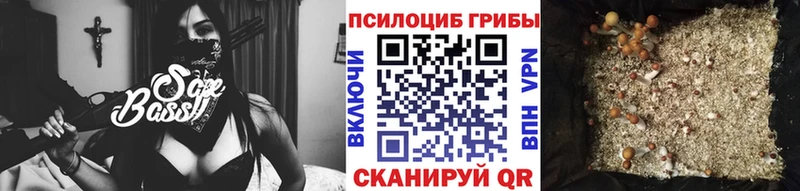 наркотики  Жердевка  hydra   Галлюциногенные грибы мицелий 