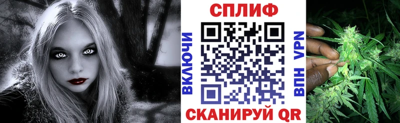 Конопля план  Жердевка 